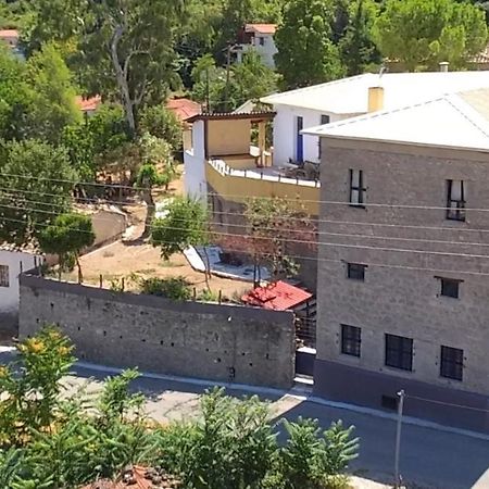 Вилла The Old Olive Mill House Aegae Экстерьер фото