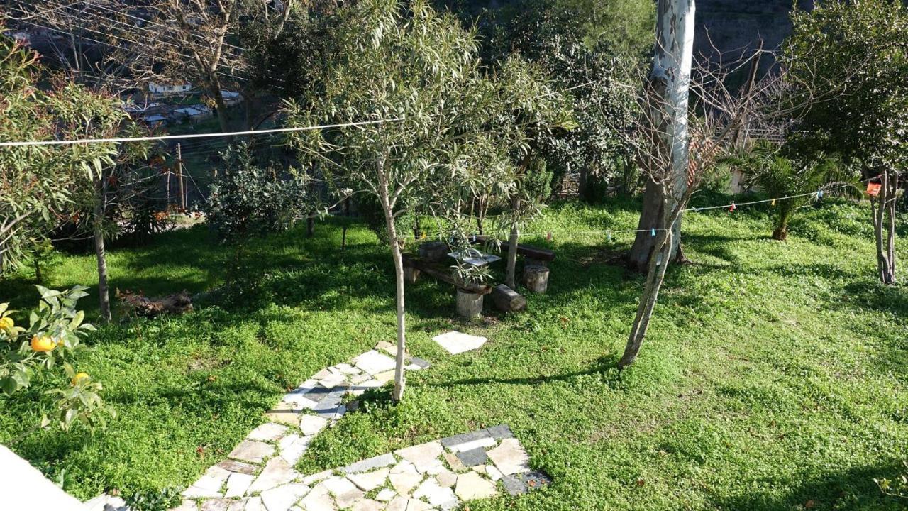 Вилла The Old Olive Mill House Aegae Экстерьер фото