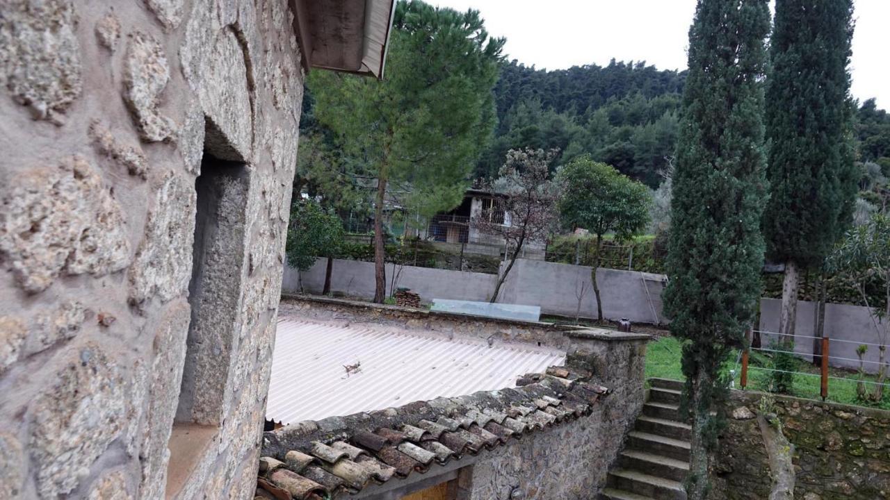 Вилла The Old Olive Mill House Aegae Экстерьер фото