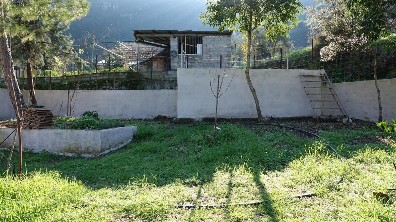 Вилла The Old Olive Mill House Aegae Экстерьер фото