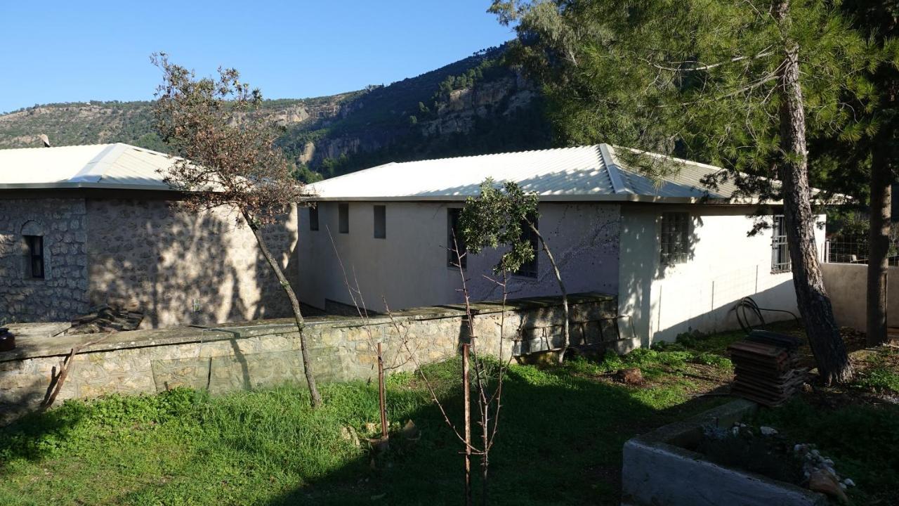 Вилла The Old Olive Mill House Aegae Экстерьер фото