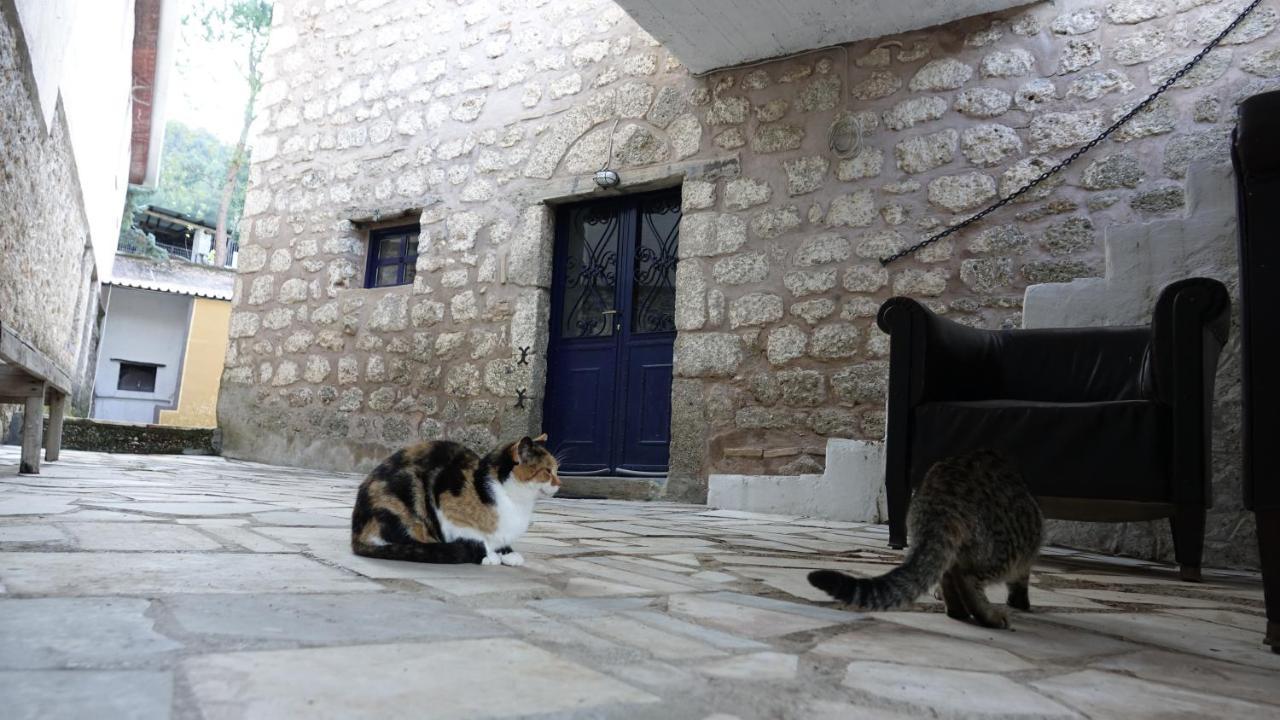 Вилла The Old Olive Mill House Aegae Экстерьер фото